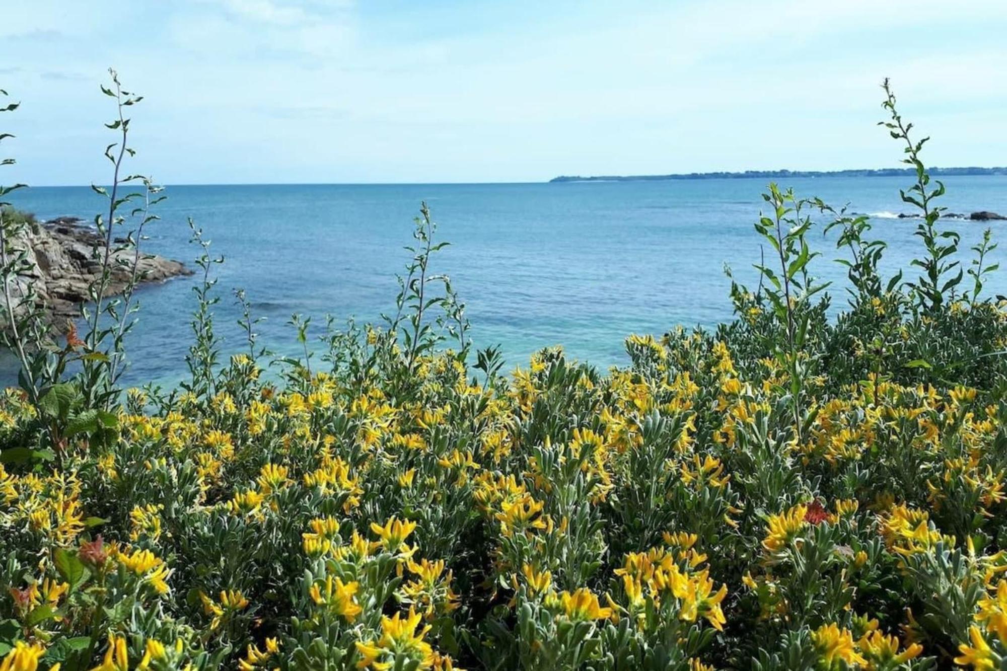 Spacieux Appartement Neuf De Standing Hyper Cosy Larmor-Plage Kültér fotó