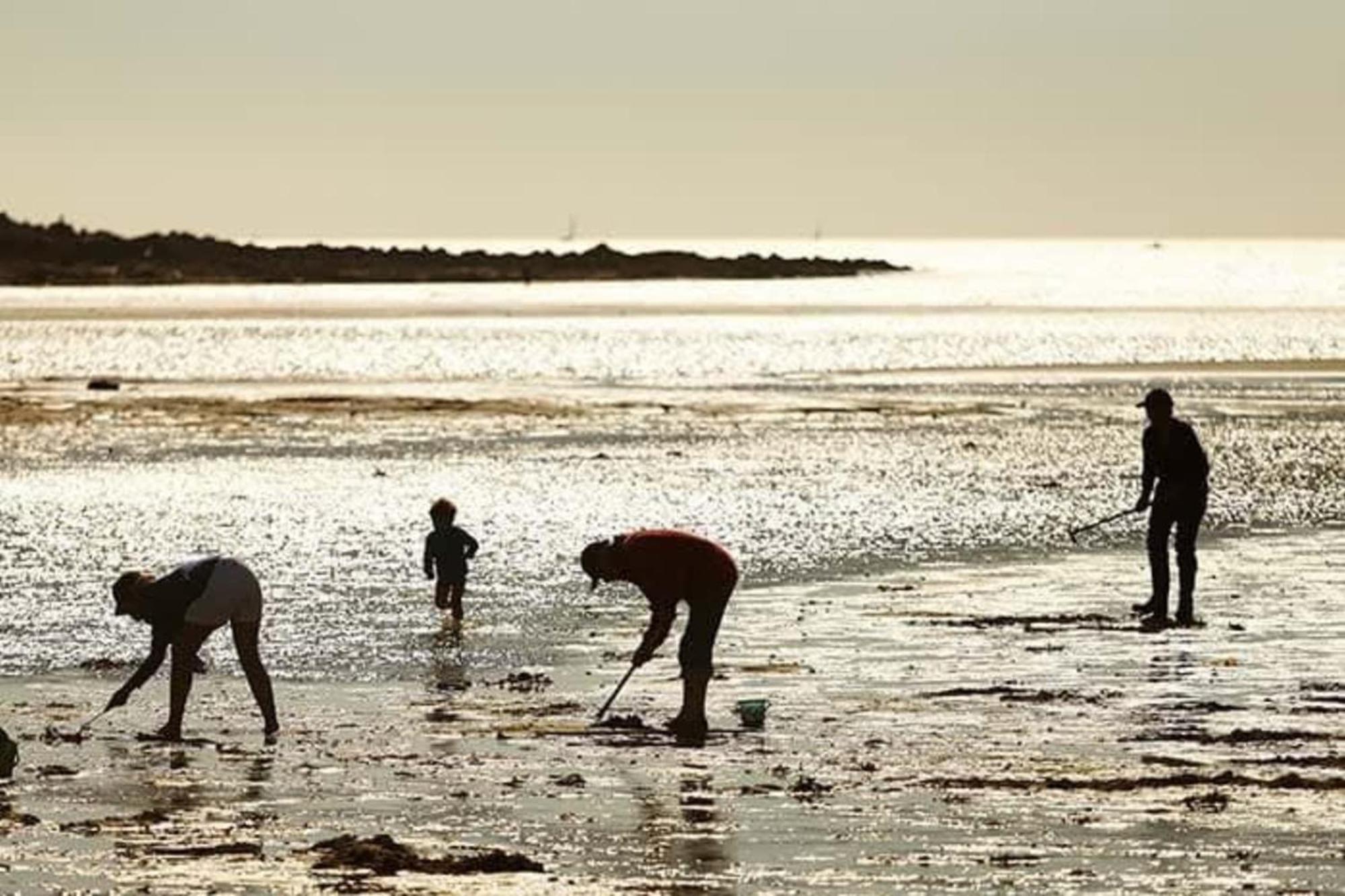 Spacieux Appartement Neuf De Standing Hyper Cosy Larmor-Plage Kültér fotó